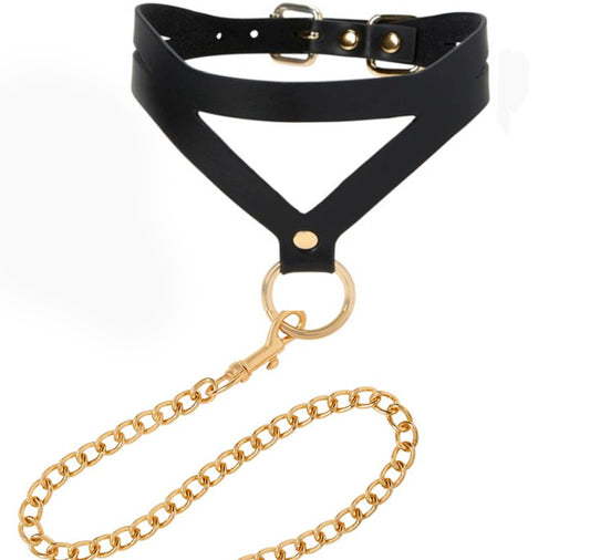 Glamorously Gold Collar + Leash Set